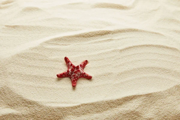 Textured Wavy Golden Sand Background Copy Space Red Starfish — Stock Photo, Image