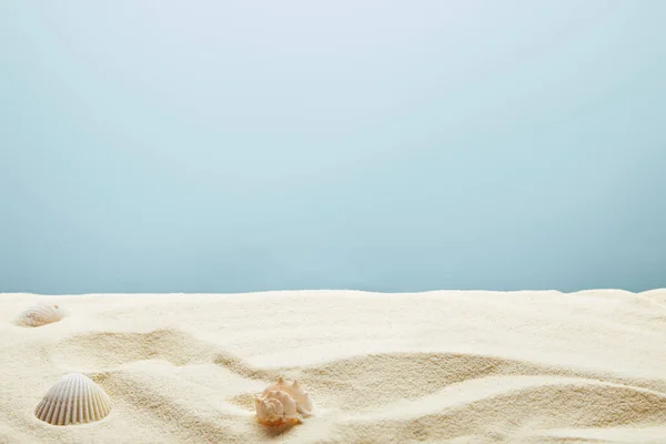 Разбросанные Ракушки Текстурированном Песке Синем Фоне — стоковое фото