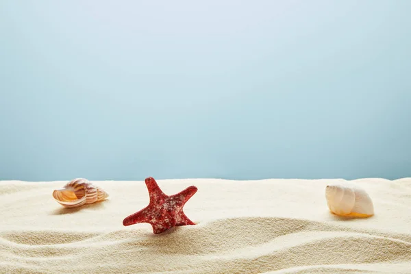 Волнистый Текстурированный Золотой Песок Красными Морскими Звездами Ракушками Синем Фоне — стоковое фото