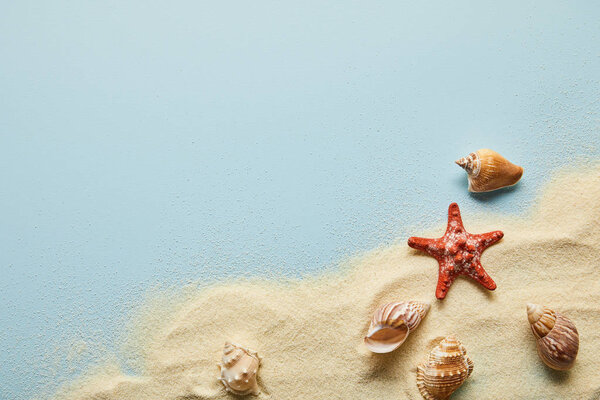 top view of textured wavy golden sand with seashells and starfish on blue background with copy space