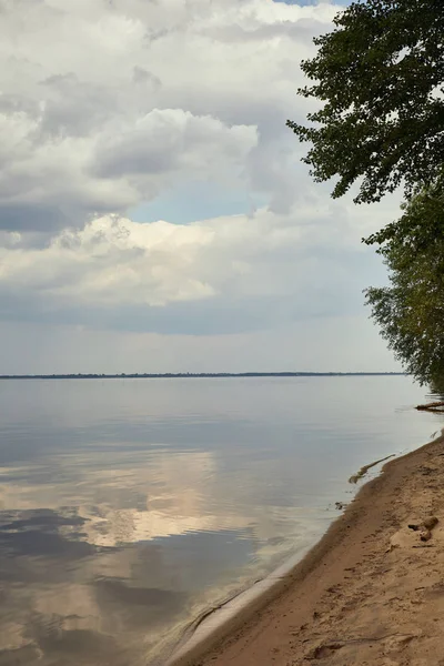 Green tree on sandy coastline near river 