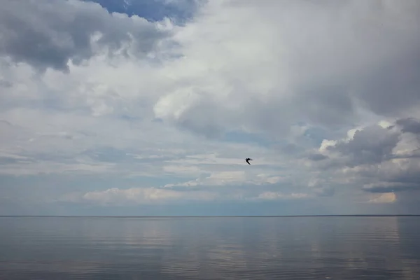 Blå Himmel Med Hvide Skyer Flyvende Fugl Afspejlet Flodvand - Stock-foto