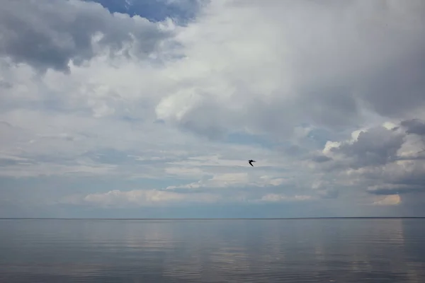 Blue sky with white clouds and flying bird reflected in river water