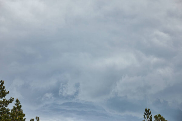 Overcast sky with clouds over green tops of pines