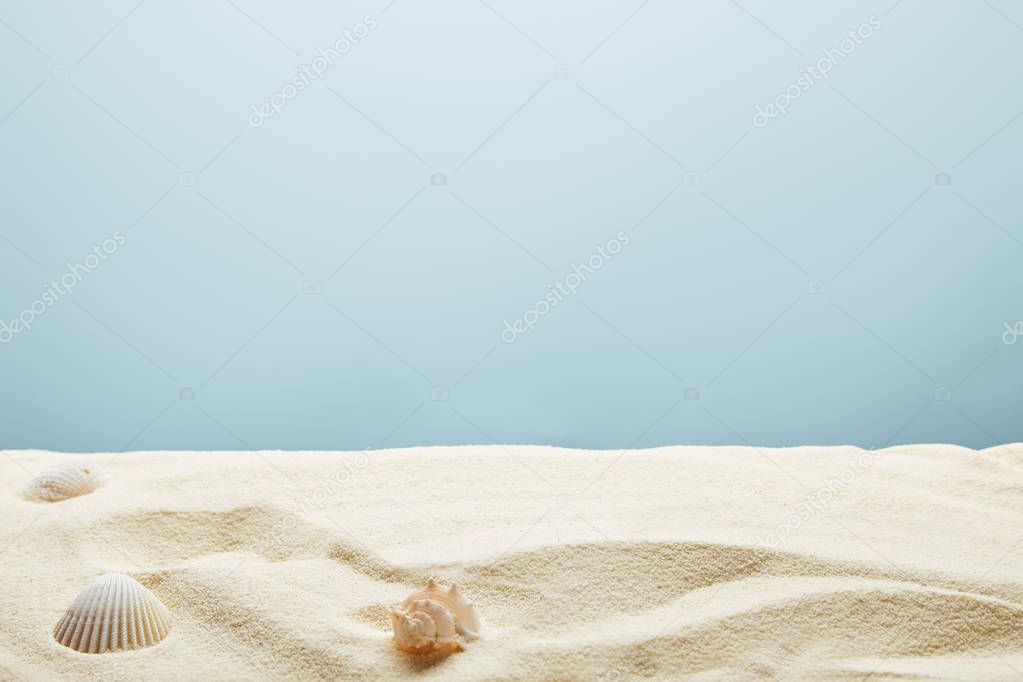 scattered seashells on textured sand on blue background