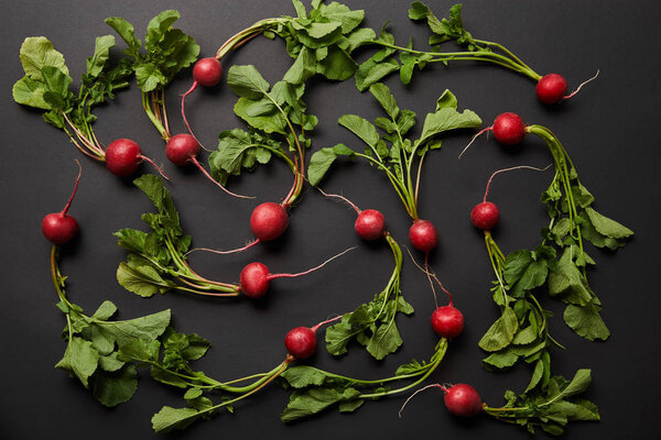 top view of whole nutritious tasty radish with green leaves on black background 