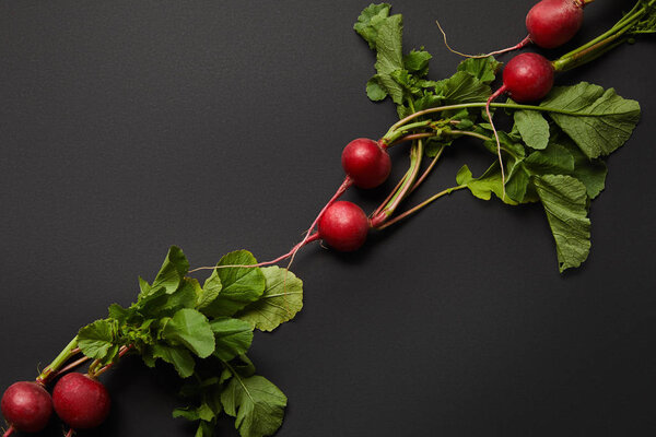whole nutritious tasty radish with green leaves on black background 