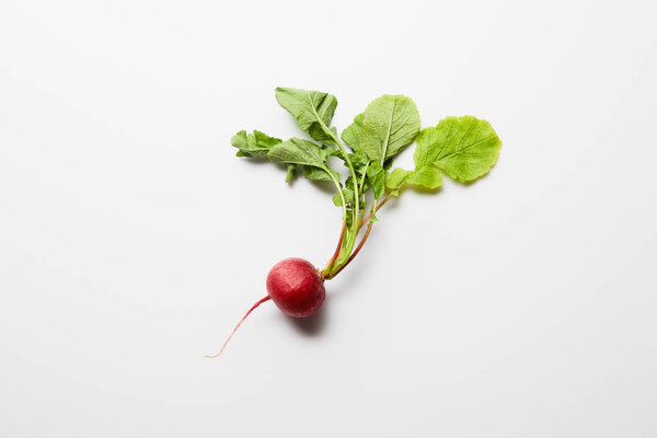 top view of tasty radish with green leaves on white background