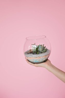 pembe izole yeşil sulu cam akvaryum tutan kadın kırpılmış görünümü 