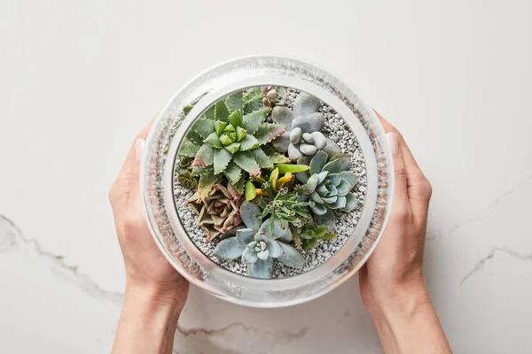 Cropped View Woman Holding Green Succulent Glass Flowerpot Textured Marble — Stock Photo, Image