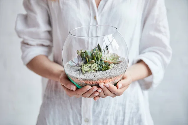 Вибірковий Фокус Жінки Білій Сорочці Тримає Скляний Акваріум Зеленими Екзотичними — стокове фото