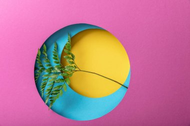 geometrik renkli kağıt arka plan üzerinde yeşil eğrelti otu yaprağı