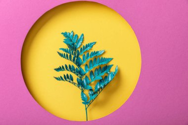 pembe kağıt üzerinde sarı yuvarlak delik yeşil eğrelti otu yaprağı 