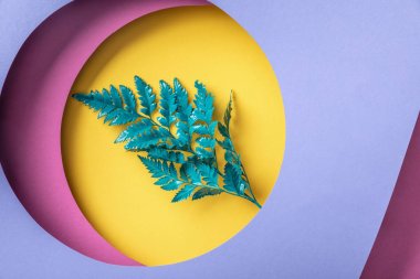 geometrik renkli kağıt arka plan üzerinde yeşil eğrelti otu yaprağı