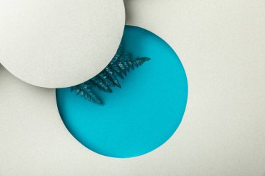 beyaz kağıt üzerinde yuvarlak geometrik delik mavi eğrelti otu yaprağı  