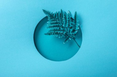 mavi kağıt üzerinde yuvarlak delik mavi eğrelti otu yaprağı 