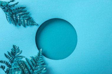 mavi dekoratif eğrelti otu mavi kağıt üzerinde yuvarlak delik yakın yaprakları 