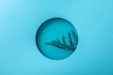 mavi kağıt üzerinde yuvarlak delik mavi eğrelti otu yaprağı 
