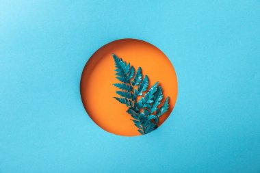 mavi kağıt üzerinde turuncu yuvarlak delik dekoratif eğrelti otu yaprağı 