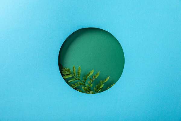 geometric background with green fern leaf in round hole on blue paper 