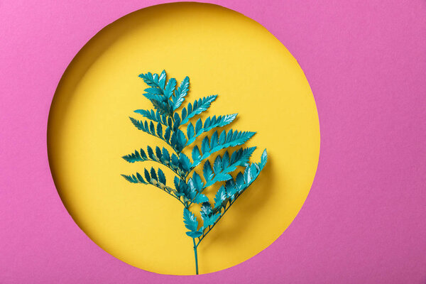 green fern leaf on yellow round hole on pink paper 