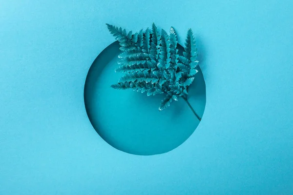 Blue Fern Leaf Hole Blue Paper — Stock Photo, Image
