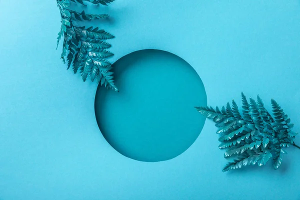Blue Decorative Fern Leaves Geometric Hole Blue Paper — Stock Photo, Image
