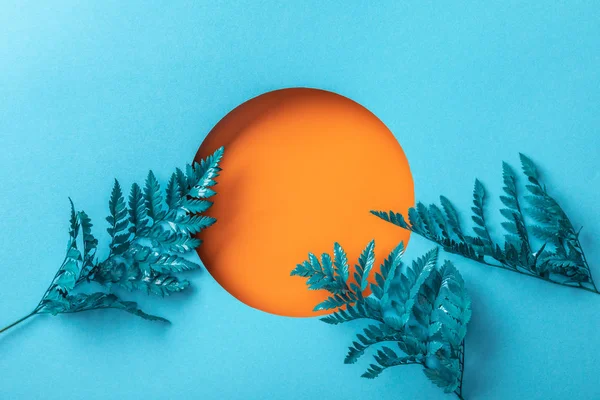 Blue Fern Leaves Orange Hole Blue Paper — Stock Photo, Image