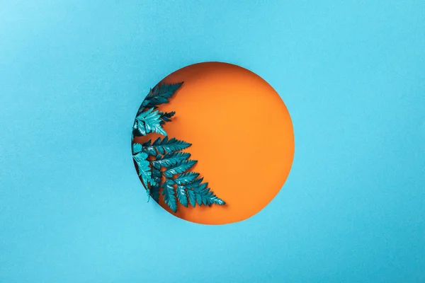 Sininen Saniainen Lehtiä Oranssi Geometrinen Reikä Sinisellä Paperilla — kuvapankkivalokuva