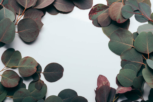 flame with green eucalyptus leaves on white