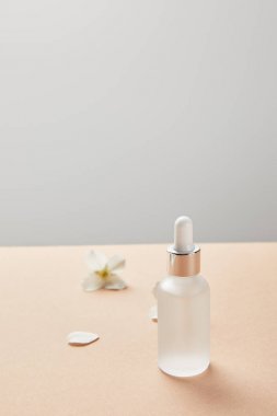 gri izole bej üzerinde yasemin çiçekleri yakın serum ile kozmetik cam şişe seçici odak