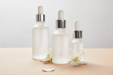 three cosmetic glass bottles with serum and few jasmine flowers with shadow on beige  clipart
