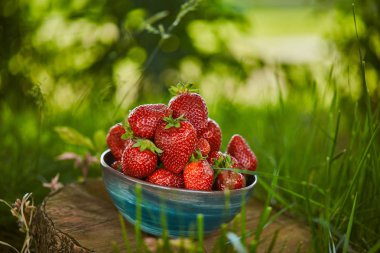 selective focus of fresh strawberries in bowl on stump clipart