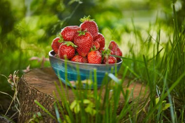 fresh sweet strawberries in bowl on stump clipart