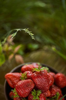 selective focus of fresh red strawberries in bowl on grass clipart