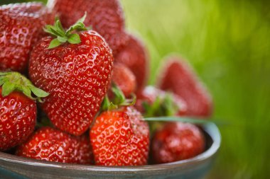 close up of fresh red strawberries in bowl clipart