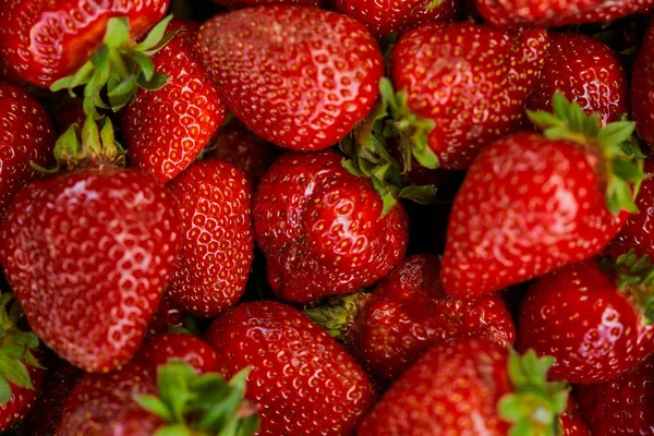红色新鲜草莓的背景顶视图 — 图库照片