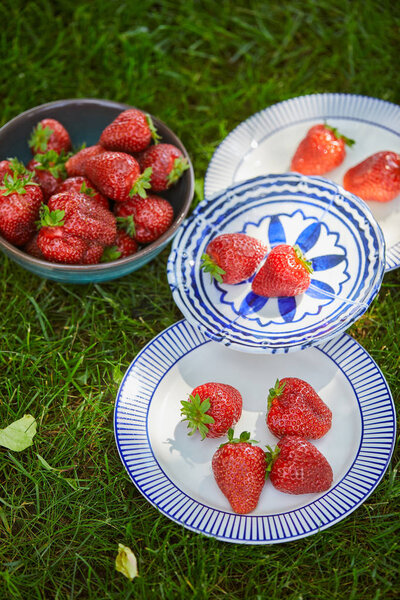 сладкая органическая клубника в миске и тарелки на зеленой траве
