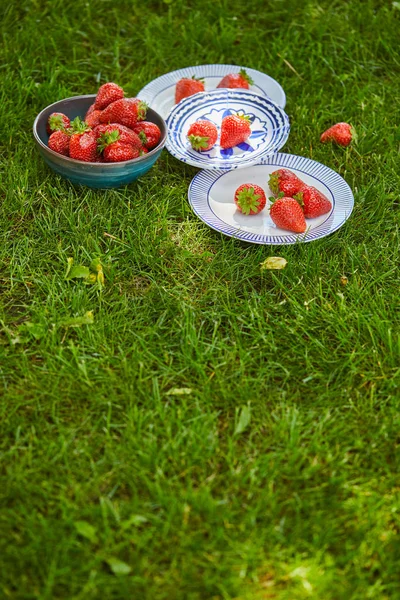 Red Sweet Strawberries Bowl Plates Green Grass Copy Space — Stock Photo, Image