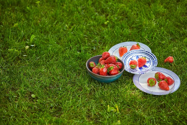 Fresas Dulces Rojas Tazón Platos Hierba Verde — Foto de Stock