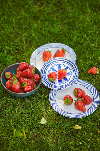 вид сверху на сладкую клубнику в чаше и тарелки на зеленой траве
