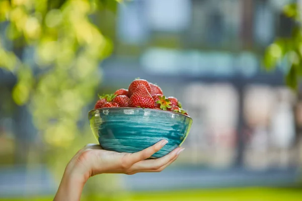 Cropped View Woman Holding Bowl Red Strawberries — Stock Photo, Image