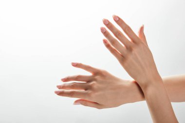 cropped view of woman hands isolated on white clipart