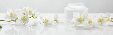 panoramic shot of jasmine flowers on white surface near jar with cream clipart