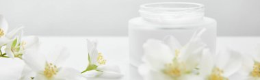 panoramic shot of jasmine flowers on white surface near jar with cream