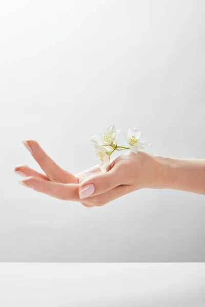 Vista Ritagliata Della Donna Che Tiene Gelsomino Portata Mano — Foto Stock