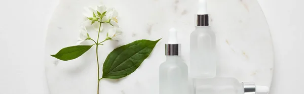 Plan Panoramique Plaque Avec Jasmin Des Bouteilles Verre Cosmétique Sur — Photo