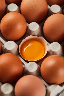 karton kutuda yumurta yakın sarı sarısı ile kırık yumurta kabuğu seçici odak