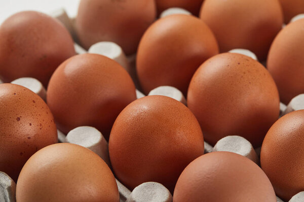 selective focus of chicken eggs in carton box
