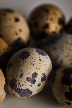 selective focus of few small quail eggs clipart